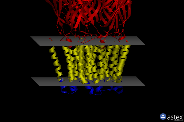 Membrane view of 3tlt