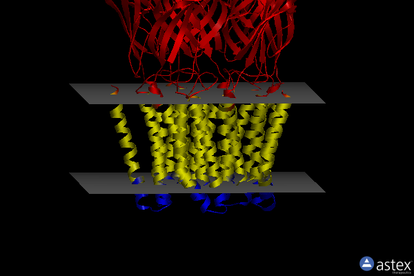 Membrane view of 3tlv