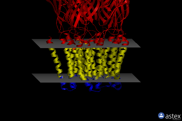 Membrane view of 3tlw