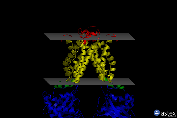 Membrane view of 3tuj