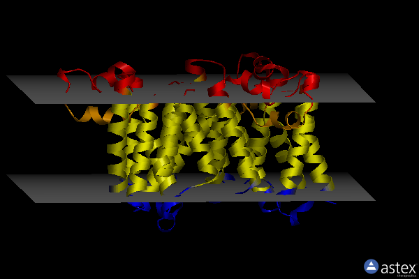 Membrane view of 3txt