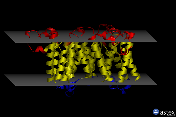 Membrane view of 3ubb