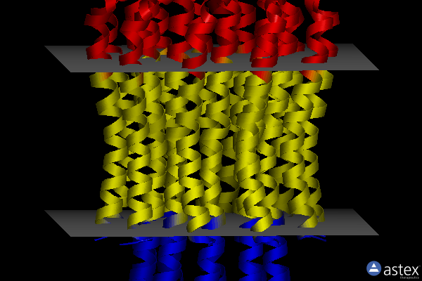 Membrane view of 3ud0