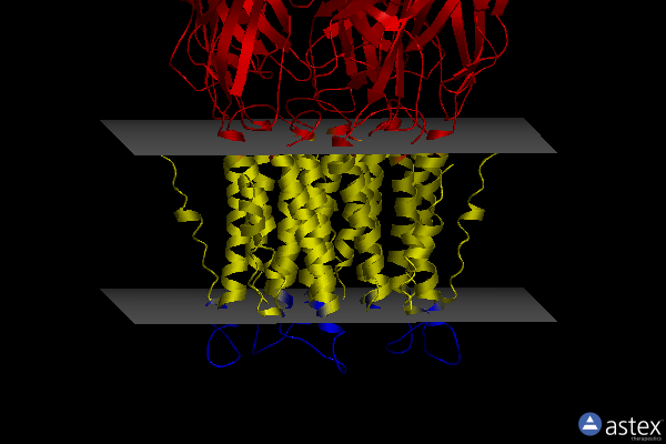 Membrane view of 3uq4