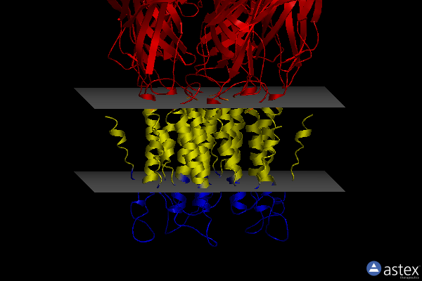 Membrane view of 3uq5