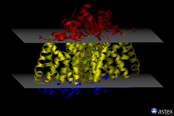 Membrane view of 3usg