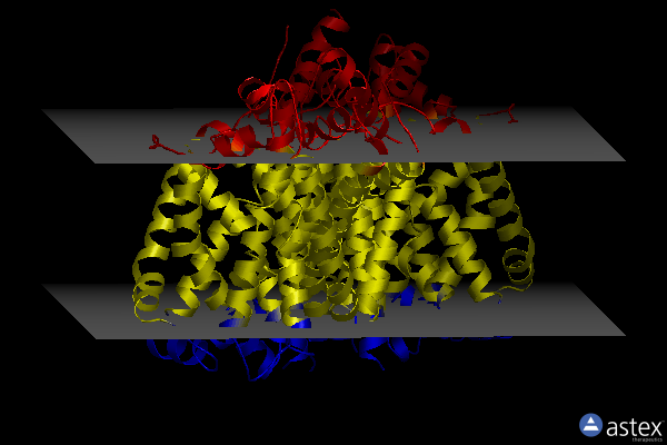 Membrane view of 3usm