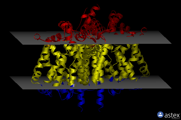 Membrane view of 3usp