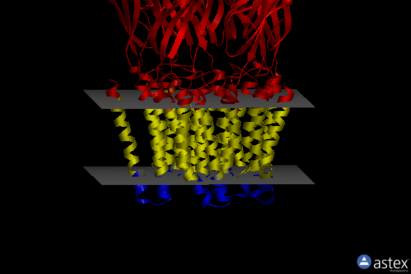 Membrane view of 3uu3