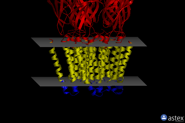 Membrane view of 3uu5