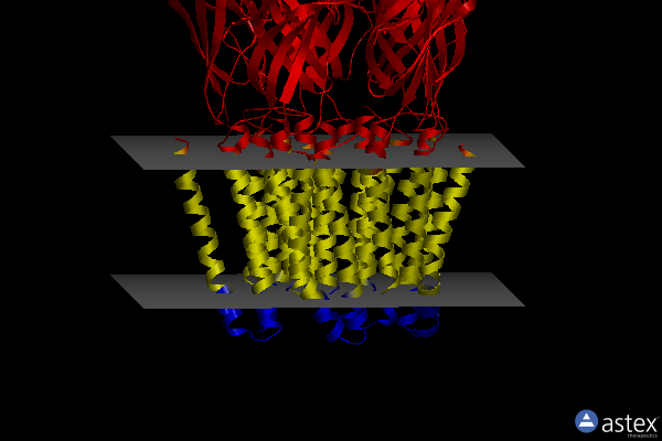 Membrane view of 3uu6
