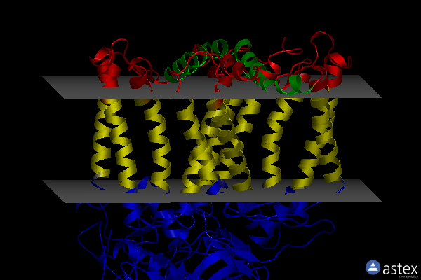 Membrane view of 3v3z