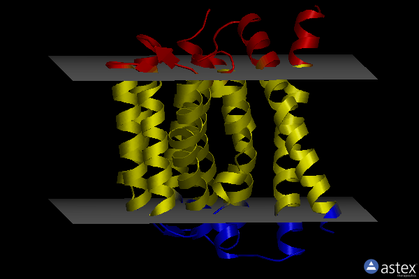 Membrane view of 3v5u