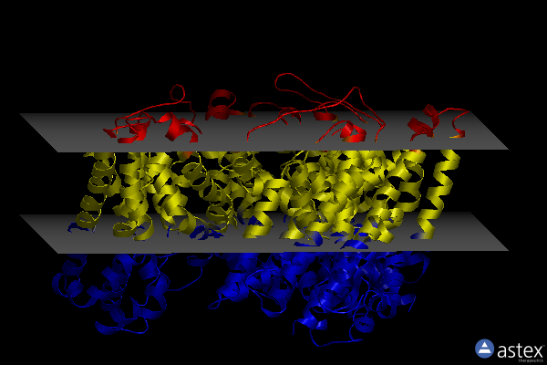 Membrane view of 3v8f