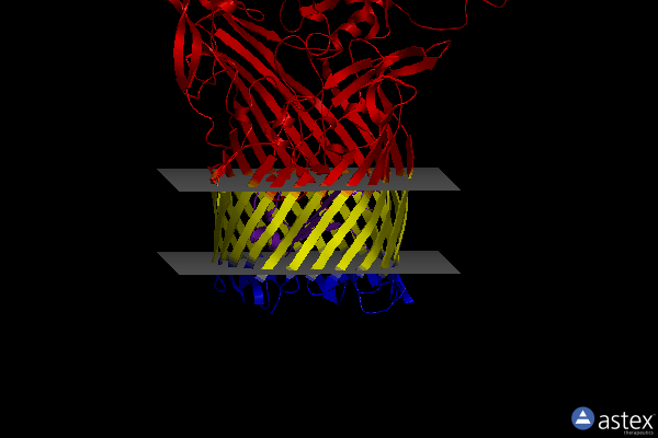 Membrane view of 3v8x