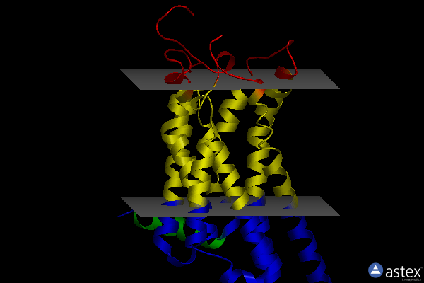 Membrane view of 3vg9