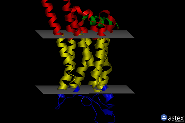 Membrane view of 3vga