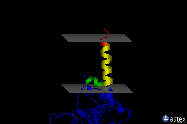 Membrane view of 3vms