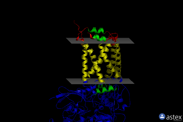 Membrane view of 3vra