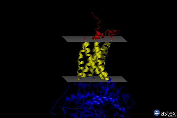 Membrane view of 3vrb