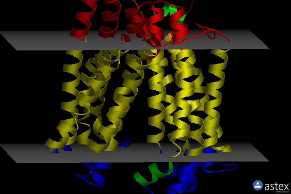 Membrane view of 3vvo