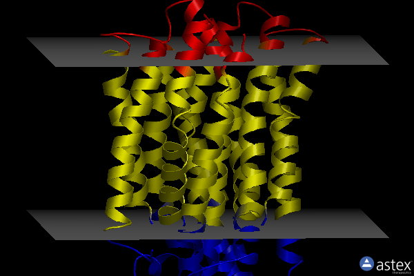 Membrane view of 3vvp