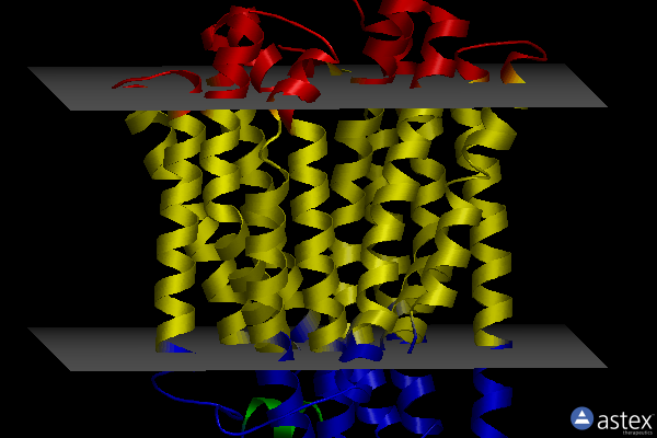 Membrane view of 3w4t