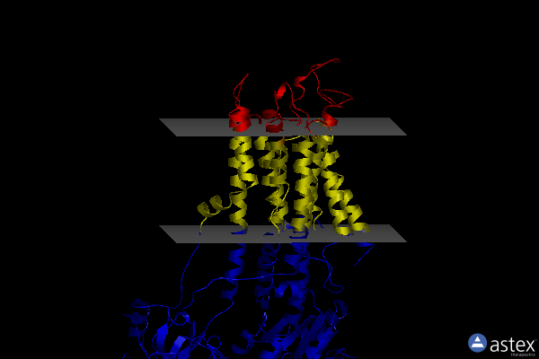 Membrane view of 3w5b