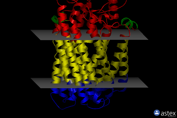 Membrane view of 3wfb