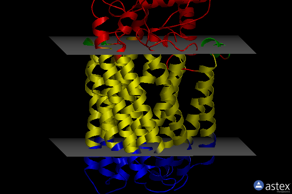 Membrane view of 3wfe