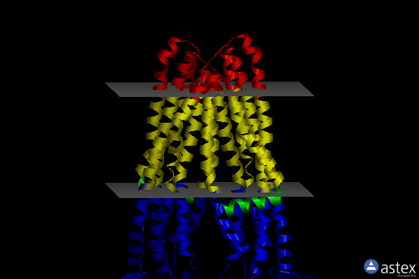 Membrane view of 3wme