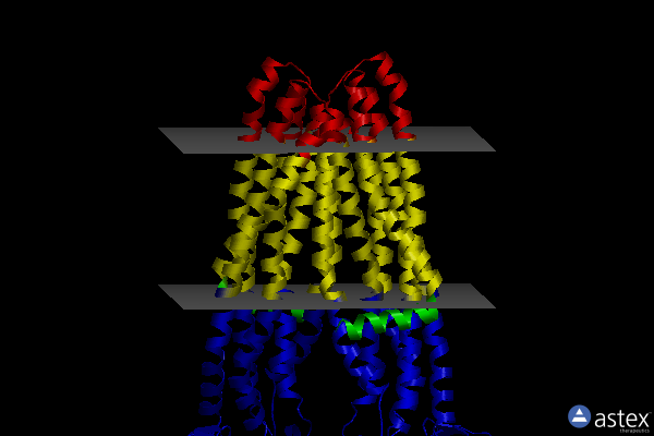Membrane view of 3wmf