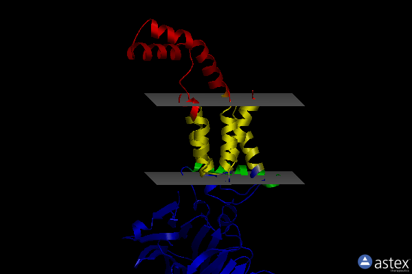 Membrane view of 3wvf