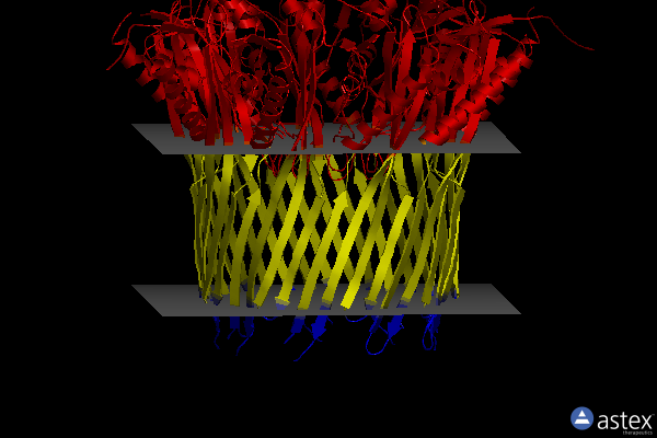 Membrane view of 3x2r