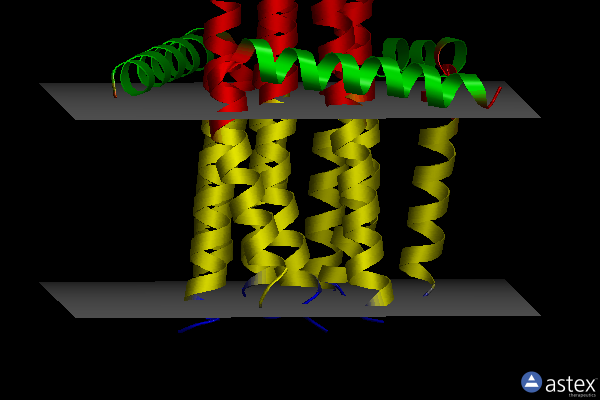 Membrane view of 3ze5