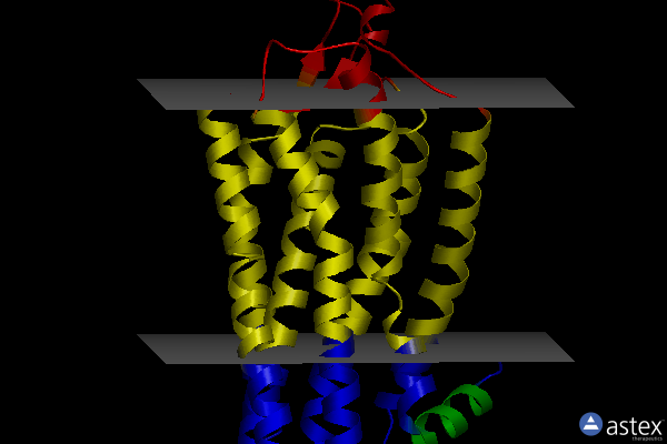 Membrane view of 3zev