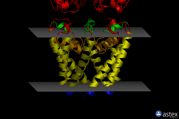 Membrane view of 3zjz