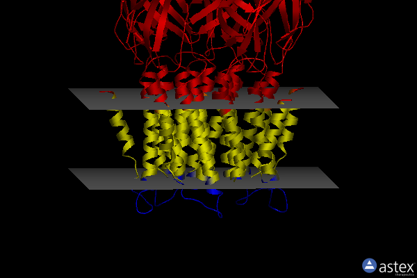 Membrane view of 3zkr