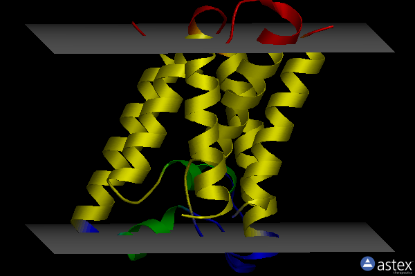 Membrane view of 3zmi