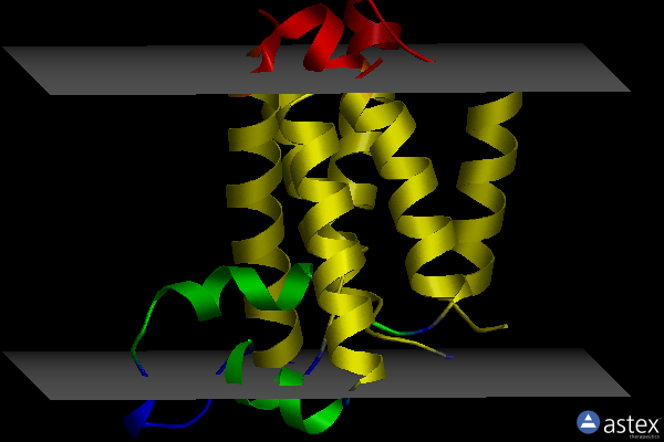 Membrane view of 3zmj