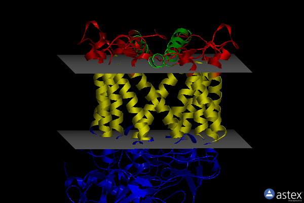 Membrane view of 3zuw