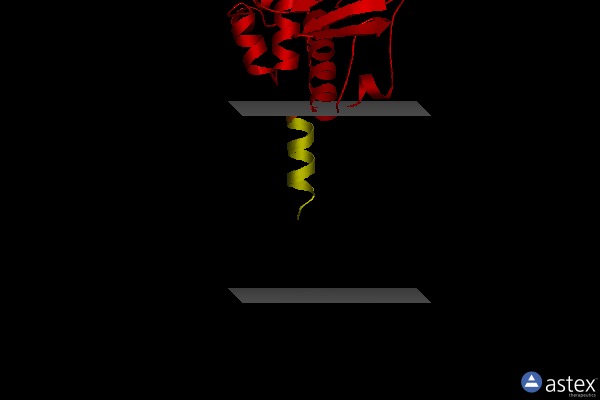 Membrane view of 3zyx