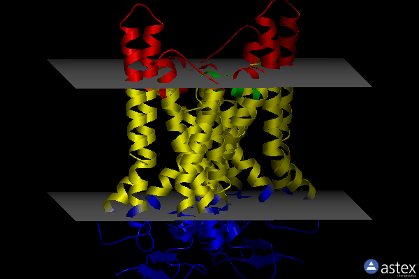 Membrane view of 4a4m