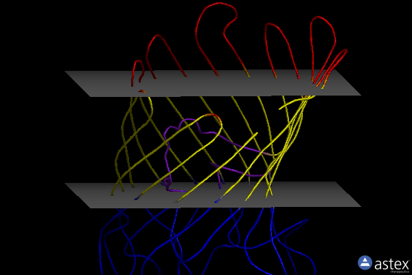 Membrane view of 4a8d
