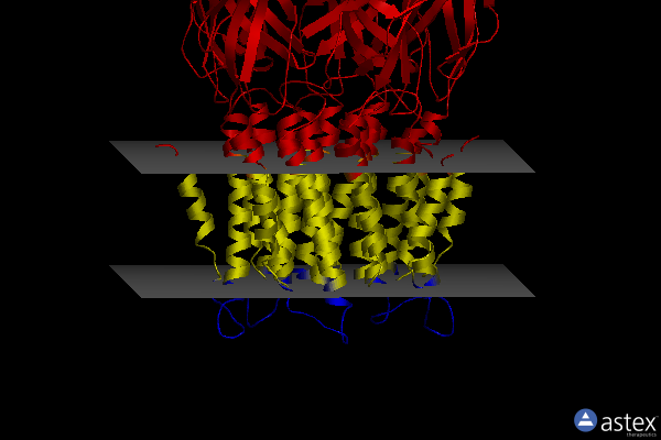 Membrane view of 4a97