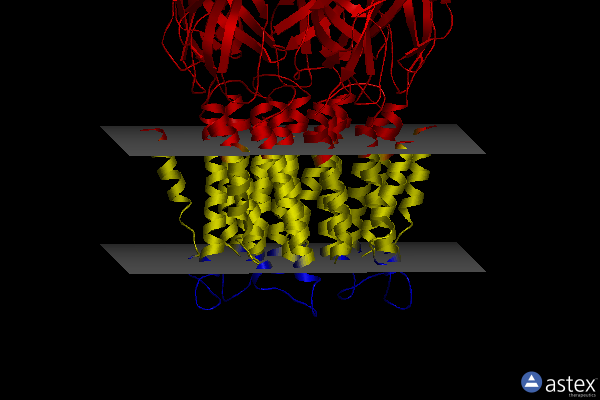 Membrane view of 4a98