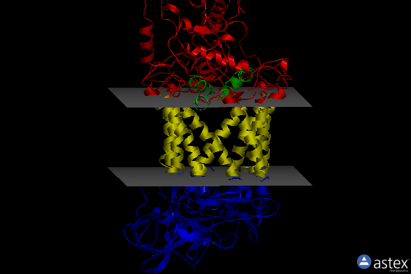 Membrane view of 4ac5