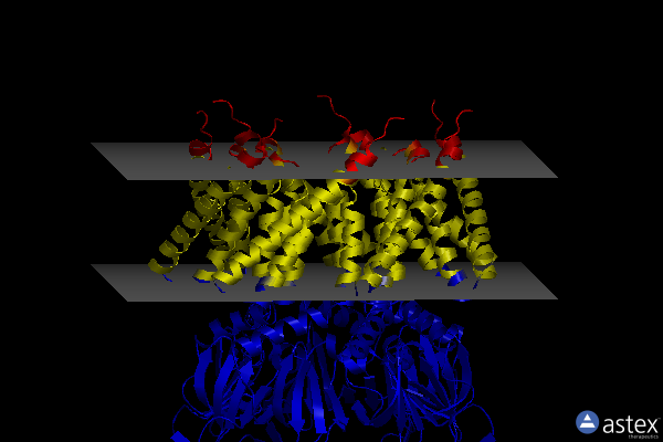 Membrane view of 4agf