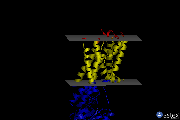 Membrane view of 4bev