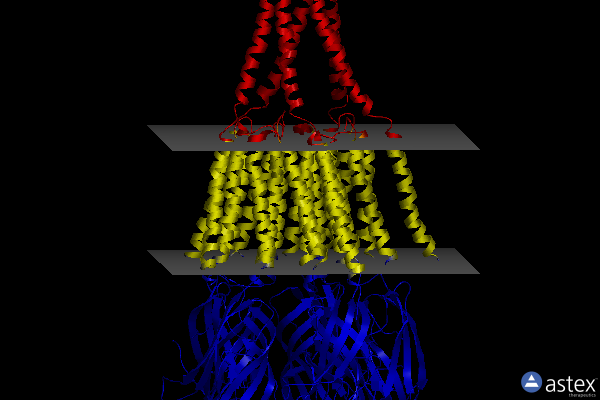 Membrane view of 4bon
